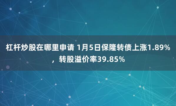 杠杆炒股在哪里申请 1月5日保隆转债上涨1.89%，转股溢价率39.85%